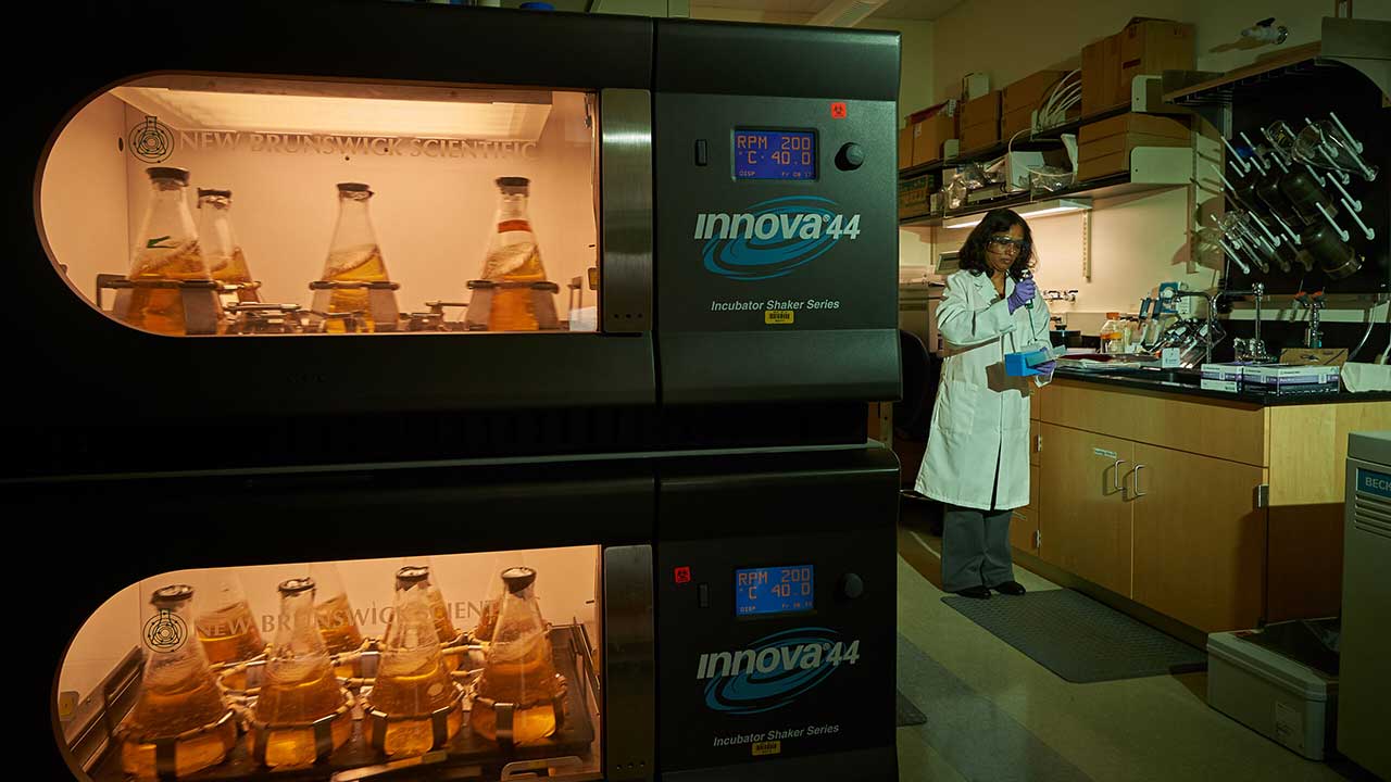 Rajini Reddy pipettes near shaking machines at Lambavision at the Cell and Genome Sciences Building in Farmington on June 9, 2017.