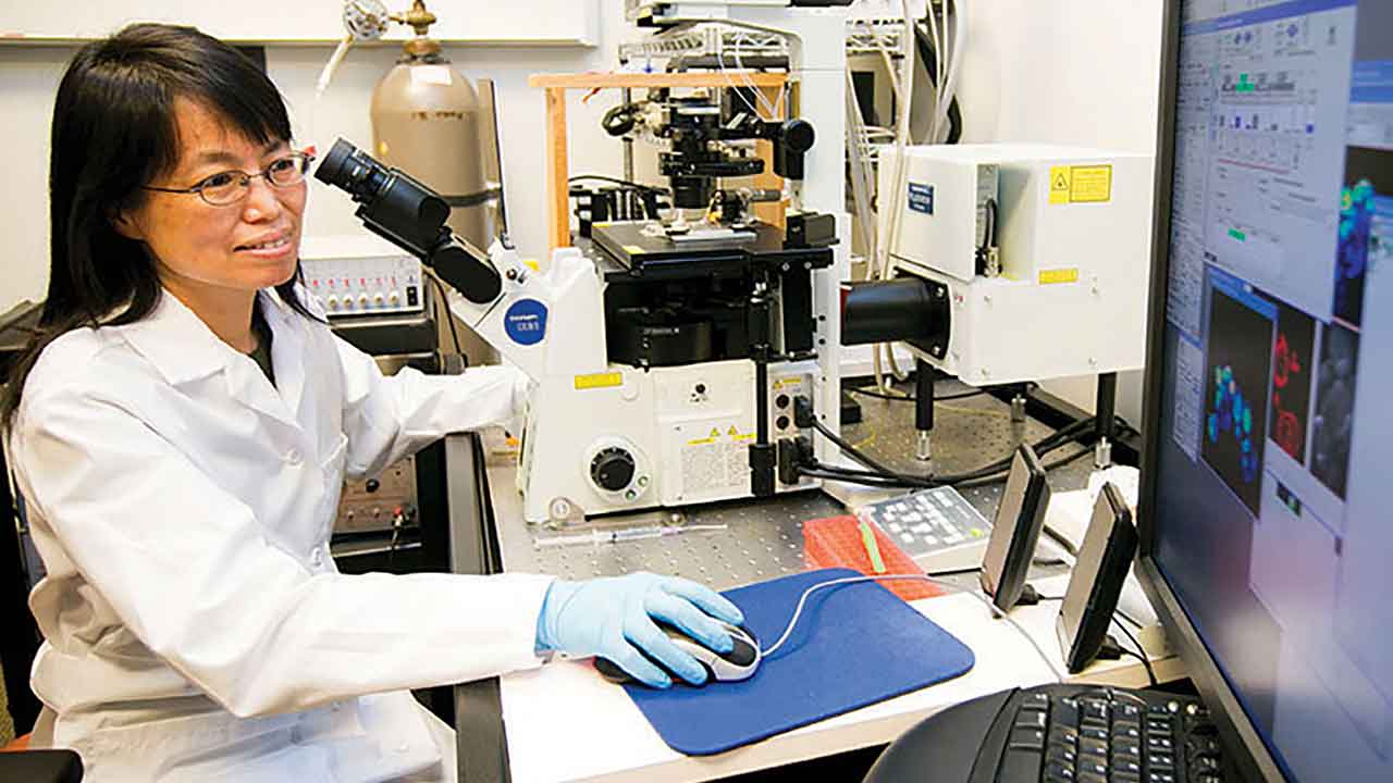 chunhui-xu-emory-university-upwardupdate Chunhui Xu, Associate Professor, Emory University School of Medicine
