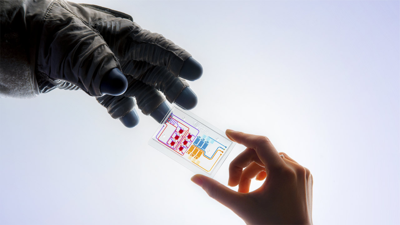 ​2019 University of Pennsylvania/Children’s Hospital of Philadelphia’s lung-bone marrow chip.