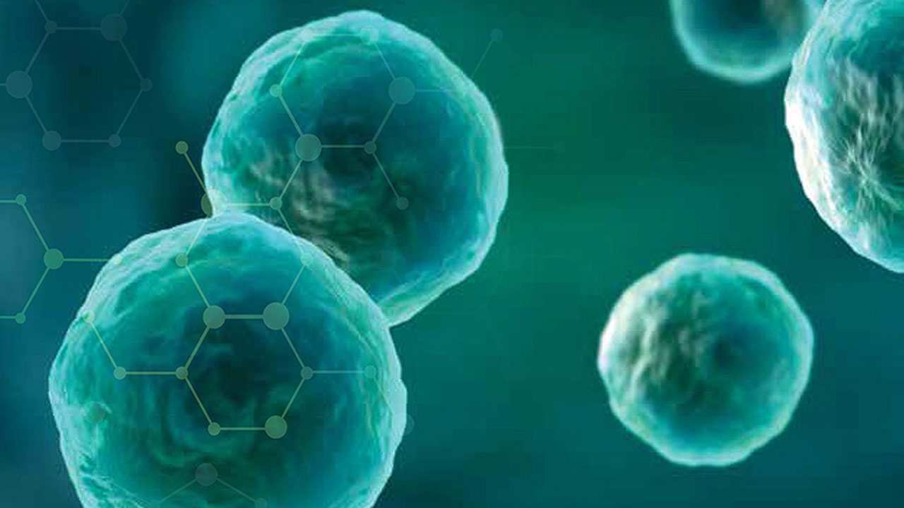 organ bioengineering microgravity cover image