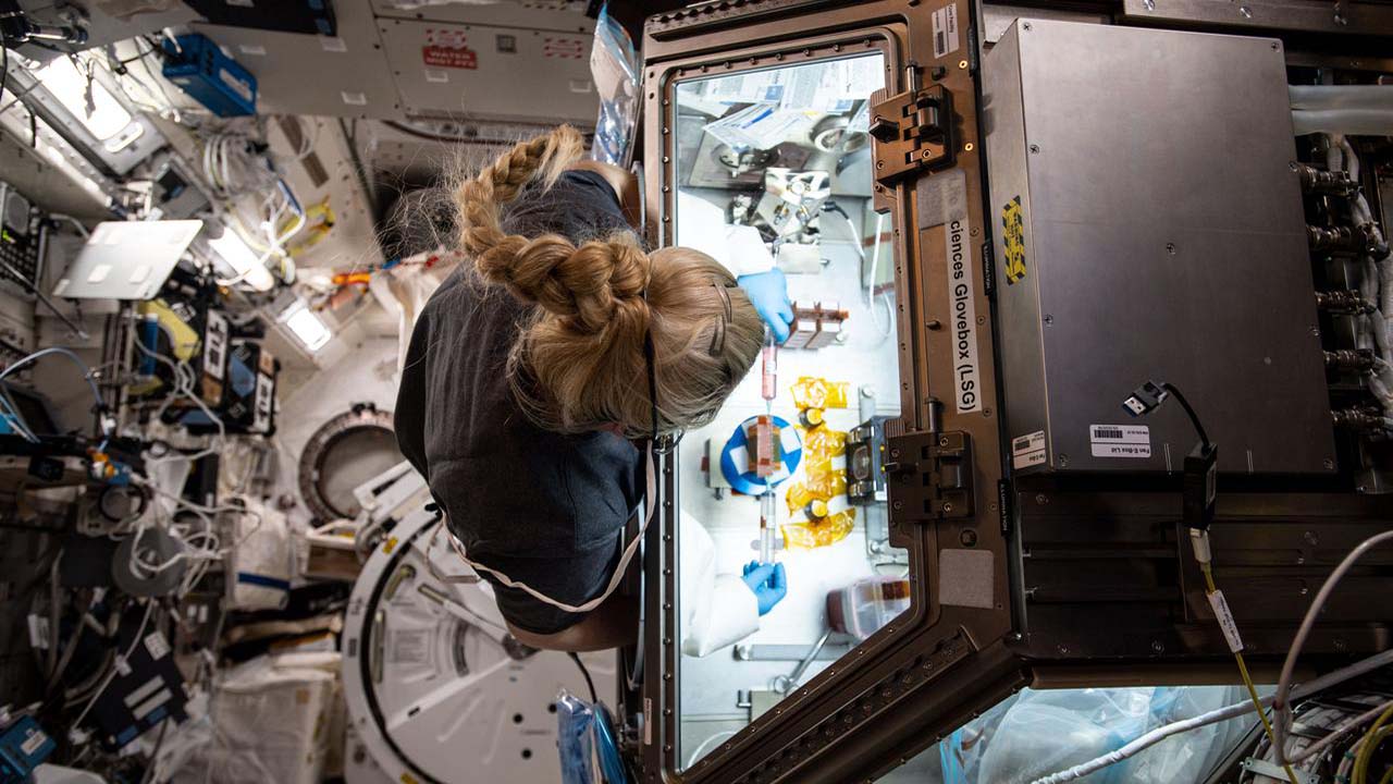 NASA astronaut Kate Rubins works inside the Life Sciences Glovebox