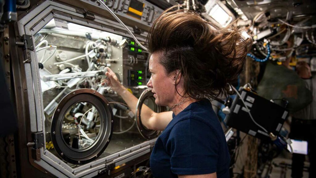 NASA astronaut and Expedition 65 Flight Engineer Megan McArthur works in the Microgravity Science Glovebox on the ISS.