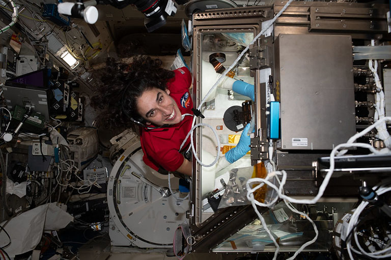 Astronaut Jasmin Moghbeli works on a liver cell investigation on the ISS