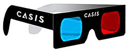 3d casis glasses5
