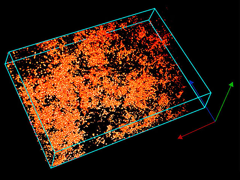 Confocal image stack showing 3D colloidal structure