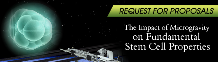 91RFP banner stemcells casis 3