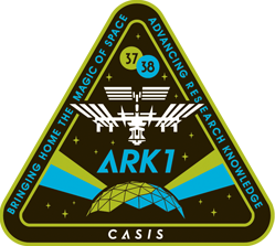 top ARK1 mission patch 3