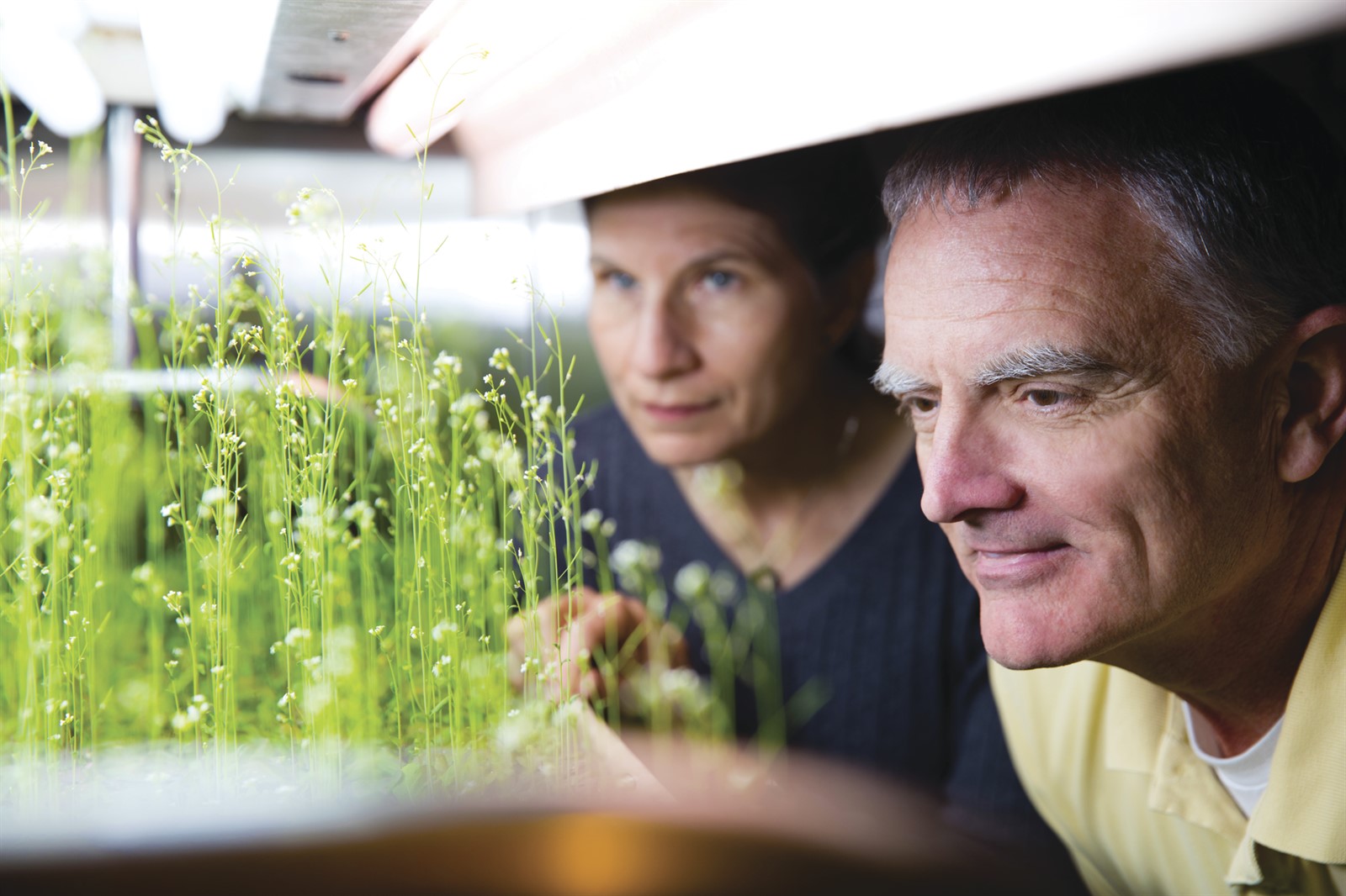 Anna Lisa Paul and Rob Ferl in the University of Florida Space Plants Lab.