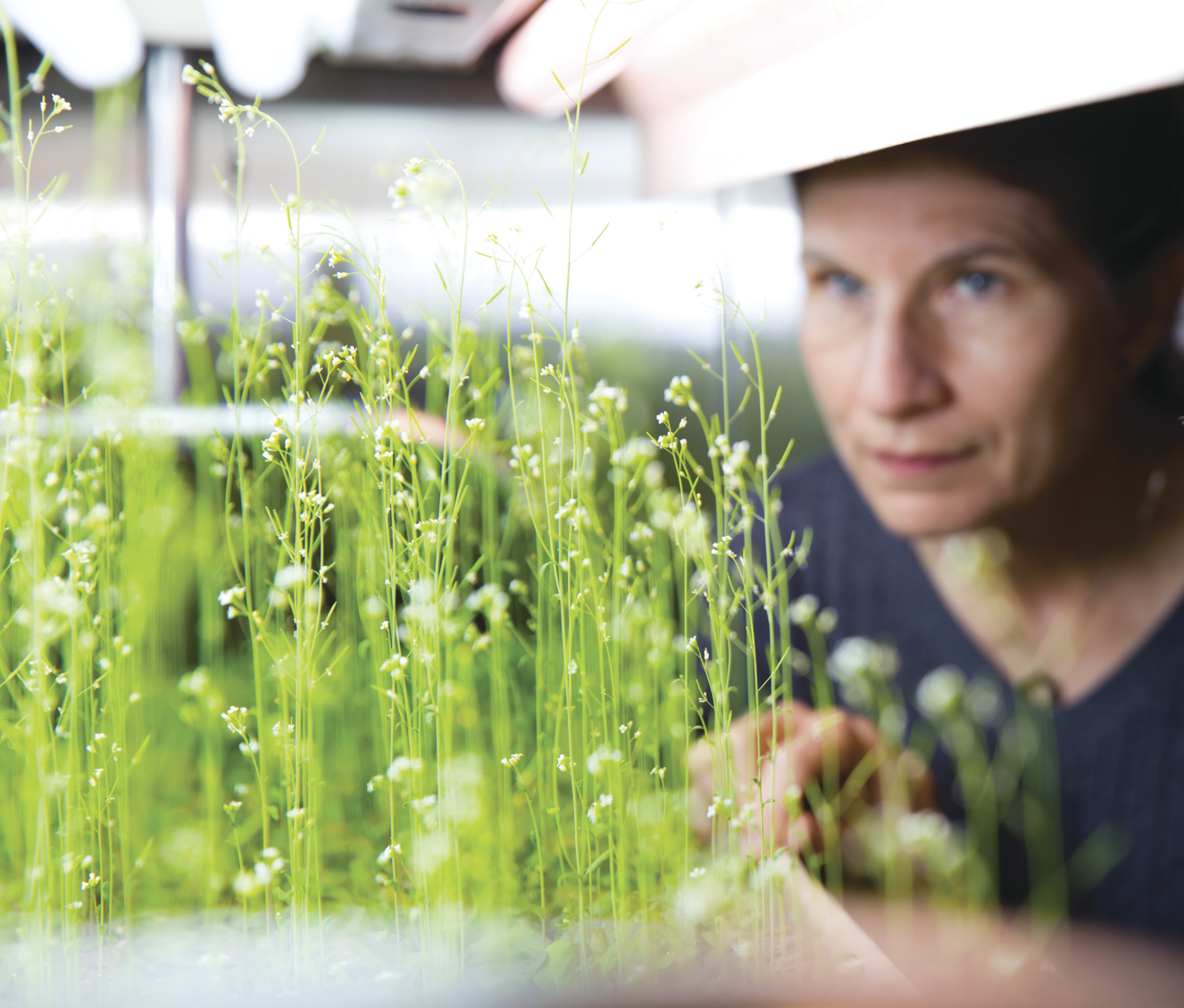 Anna Lisa Paul in the University of Florida Space Plants Lab