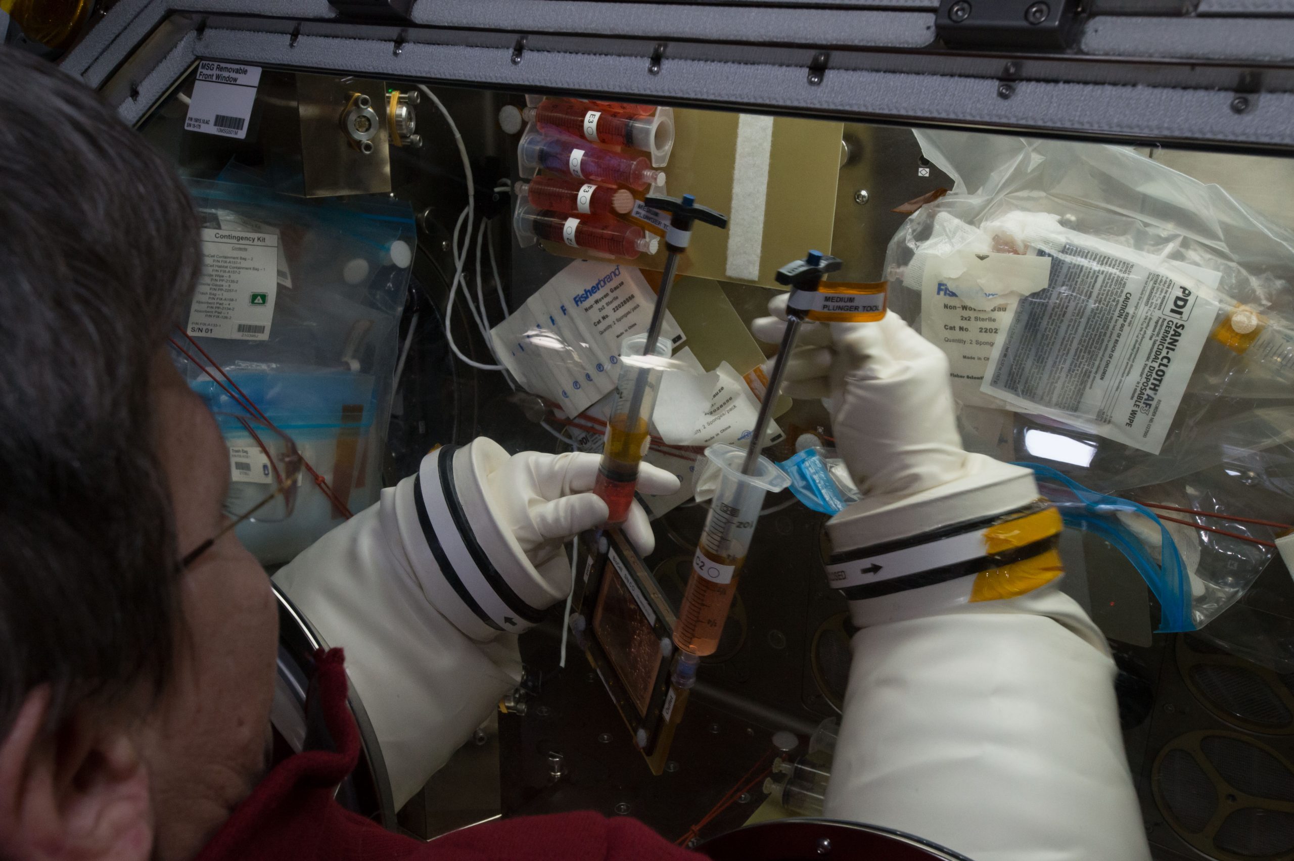 NASA astronaut Peggy Whitson completing a media exchange for osteoblast cultures housed inside of BioServe BioCell hardware in support of the NIH sponsored OsteoOmics experiment.