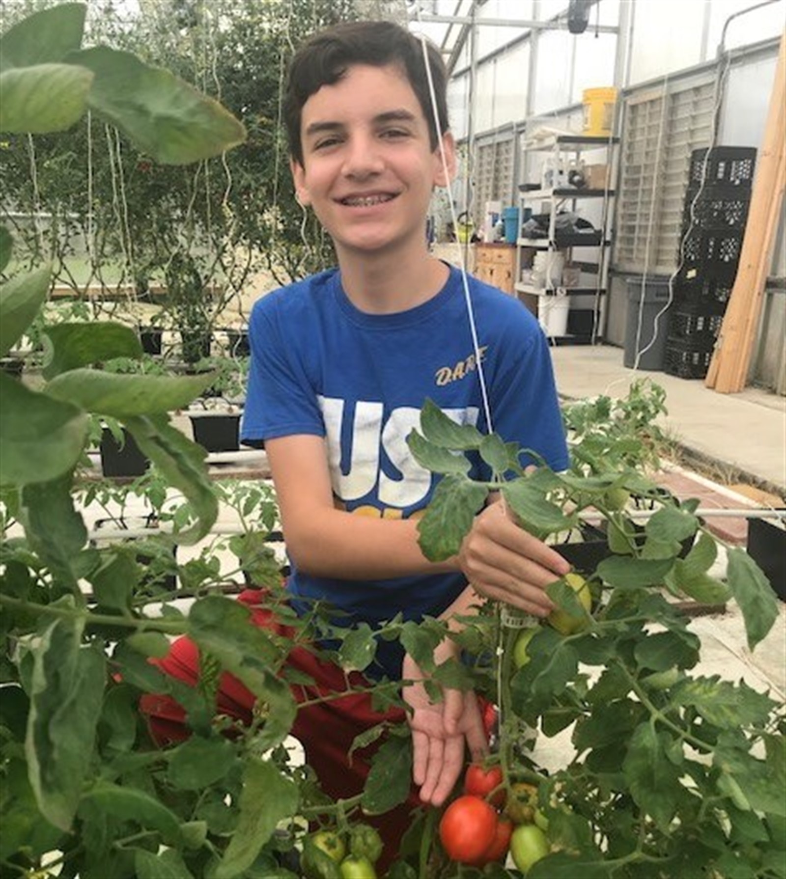 Bryce Hilliard tomato provided crop 1600