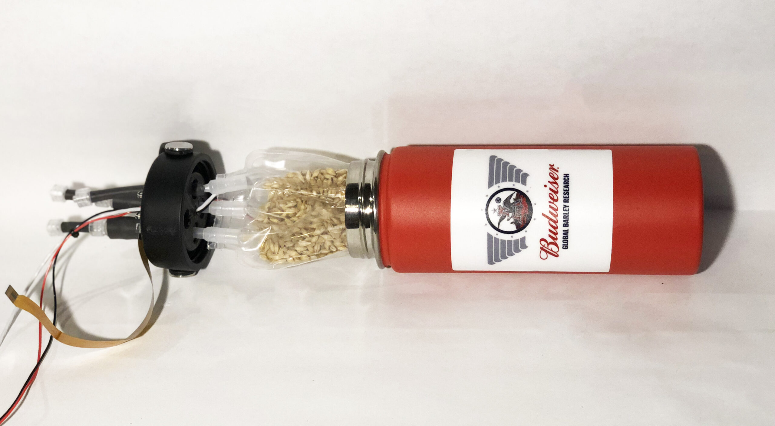 Budweiser is investigating the process of malting barley onboard the International Space Station.