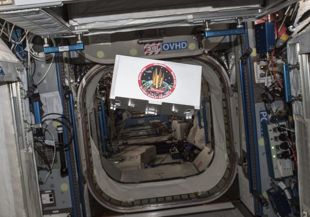 Budweisers investigation examining barley germination onboard the International Space Station.