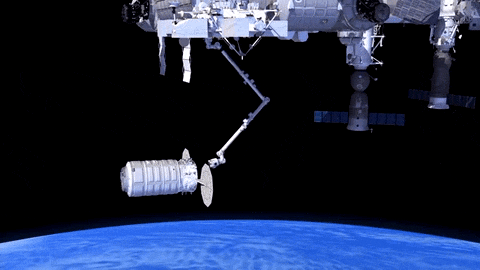 This animation shows a Cygnus cargo spacecraft being captured by the Space Stations Canadarm2 for docking.
