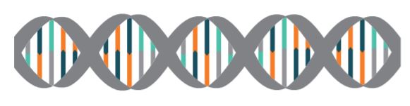 DNA