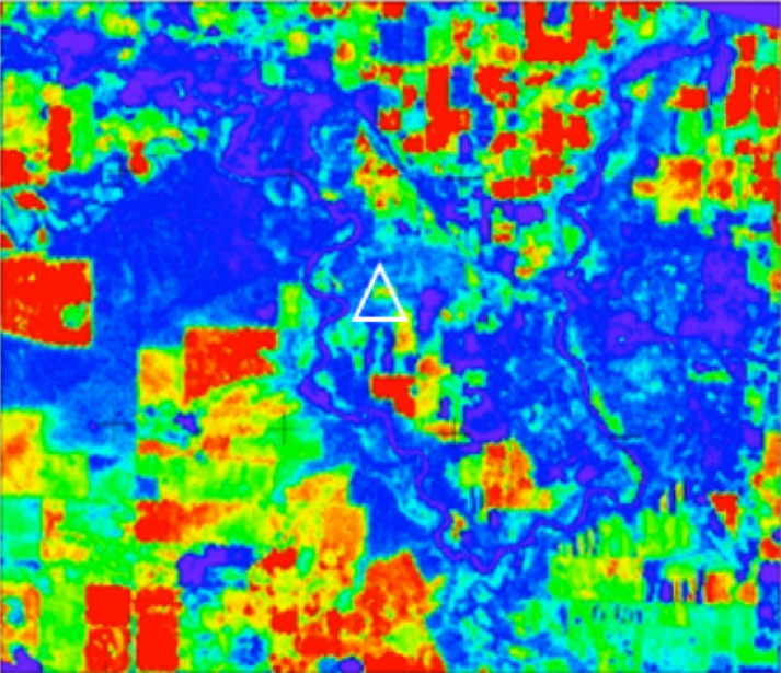 Map of gross ecosystem production (GEP) derived from HICO imagery from the ISS for the study area around Lethbridge, Alberta, Canada. Image collected July 2, 2013. The triangle indicates the location of the flux tower. The area is a mixture of grassland and crops, resulting in a complex spatial pattern of productivity.