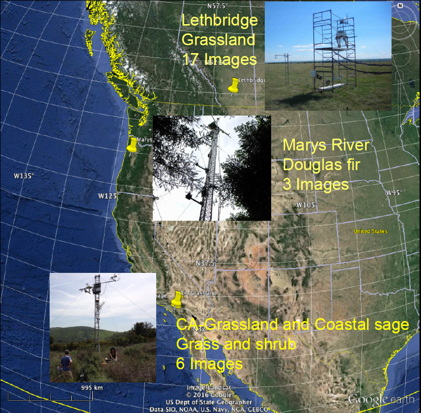 Huemmrich and his team used data from four sites with different types of vegetation and different seasonal patterns: a cold grassland in Canada, a Douglas fir site in Oregon, a Mediterranean grassland in southern California, and a shrub land in southern California.