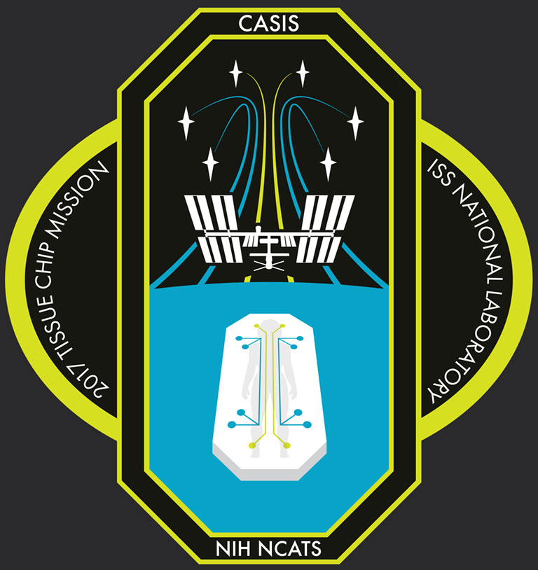 K oval PATCH2 BIG