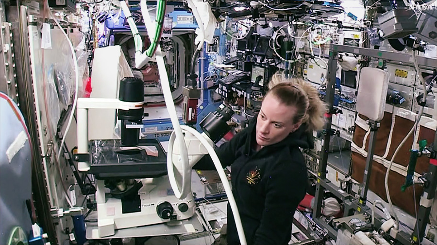 NASA Astronaut Kate Rubins works to set up a new microscope onboard the space station for the Effects of Microgravity on Stem Cell Derived Heart Cells investigation.