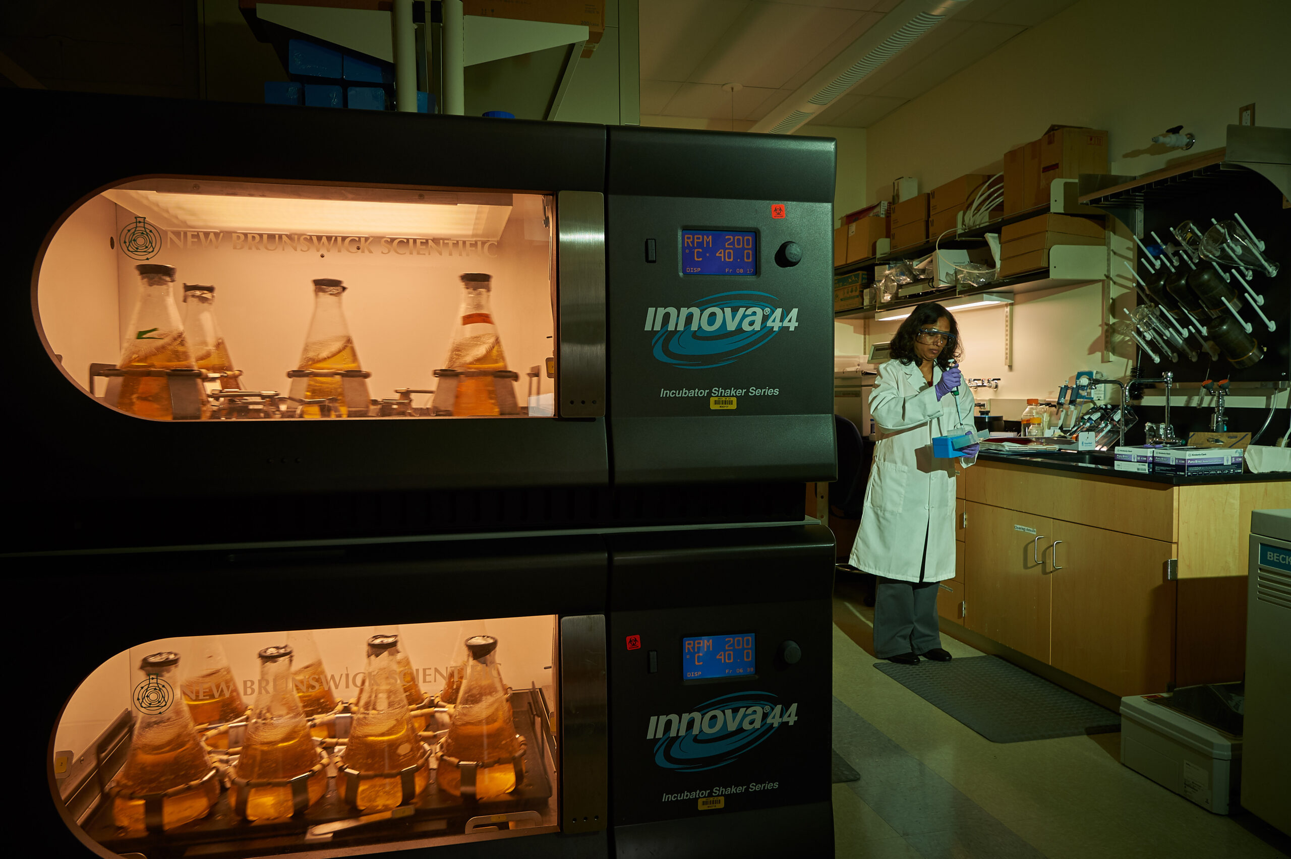 LambdaVision creates a super saline environment to grow the protein. Shown is a series of shaker flasks containing the light activated protein, bacteriorhodopsin, which will eventually be isolated and purified before being used in the retinal implant.