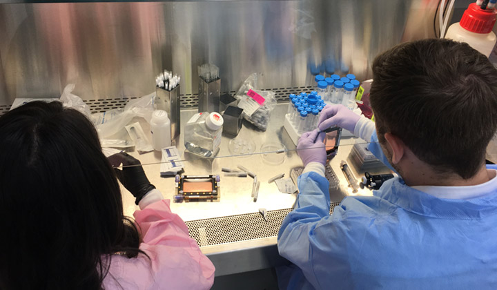 Aida Martinez and Jonathan Baio loading CPCs into the BioCell hardware at NASAs Kennedy Space Centerin preparation for launch.