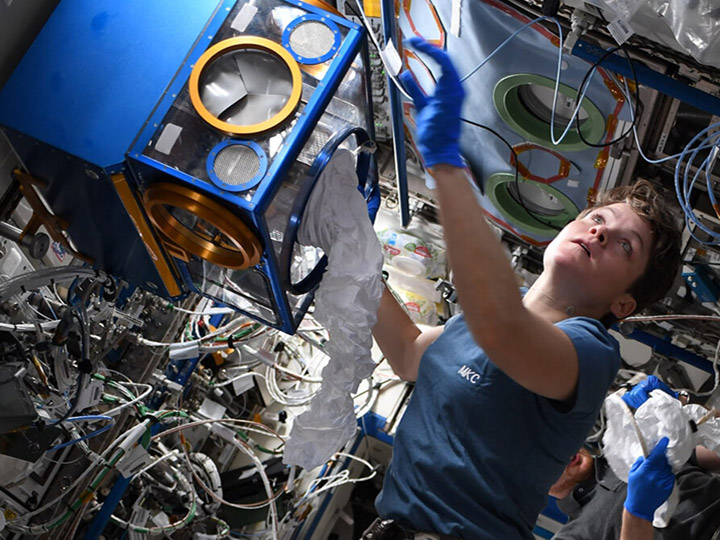 NASA astronaut Anne McClain working with a Mouse Habitat Unit. McClain tweeted:@ISS Research is really phenomenal; every day we get to play a part in learning about our universe, our Earth, and the creatures that live on it. Getting to do science on the ceiling? Well, now thats just cool!