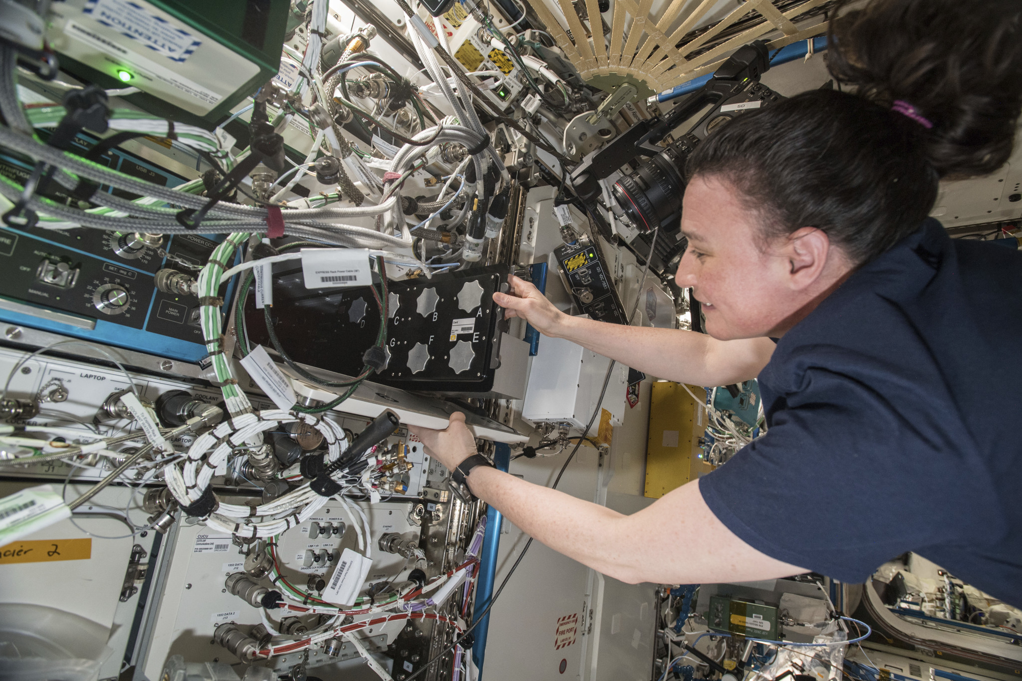 NASA astronaut Serena Aun Chancellor works on the Micro gRx investigation onboard the ISS.
