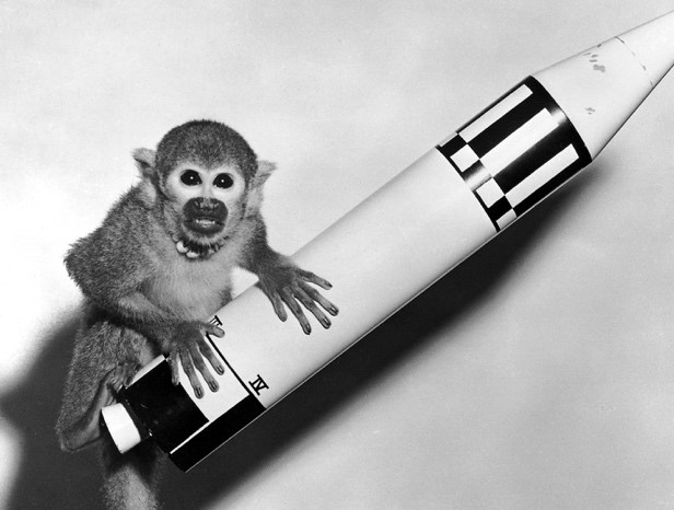 Miss Baker and another monkey named Able were launched into space on May 29, 1959. Miss Baker survived, and this photo was taken the next day. She sits on a model of the Jupiter missile that carried her.