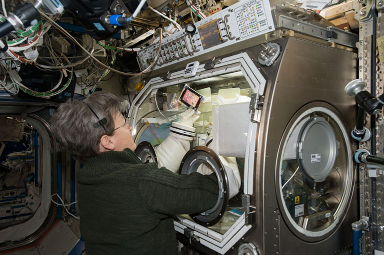 Peggy Whitson ISS Zubair Mayo Clinic stem cells scaled