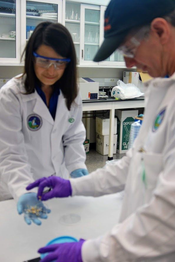 Dr. Kaplan and Dr. Shapiro Ilan prepare the materials to assemble the experiment for the flight.