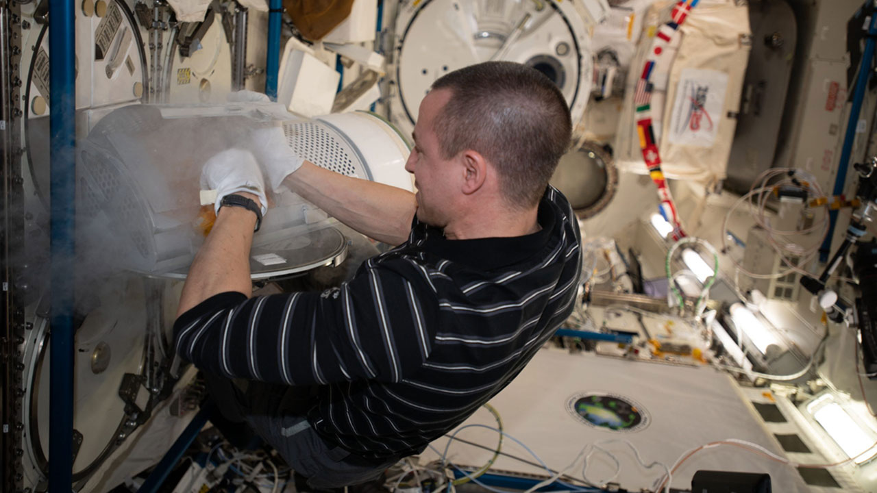 NASA astronaut Andrew Morgan loading Rhodium Phage Evolution into MELFI for preservation following in orbit incubation.