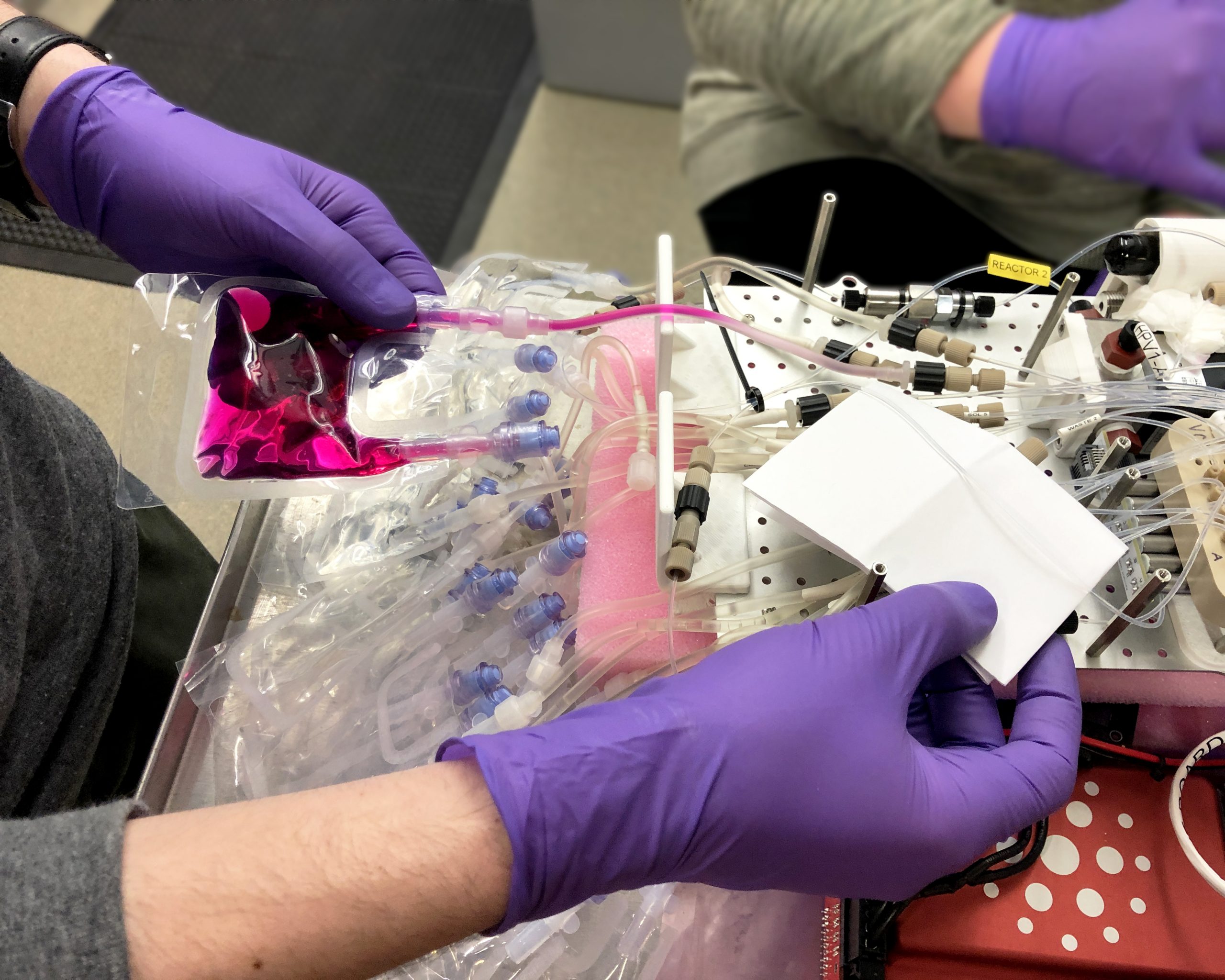 Matthew Mailloux and Gentry Bennett review and validate one of the automated colorimetric reactions.