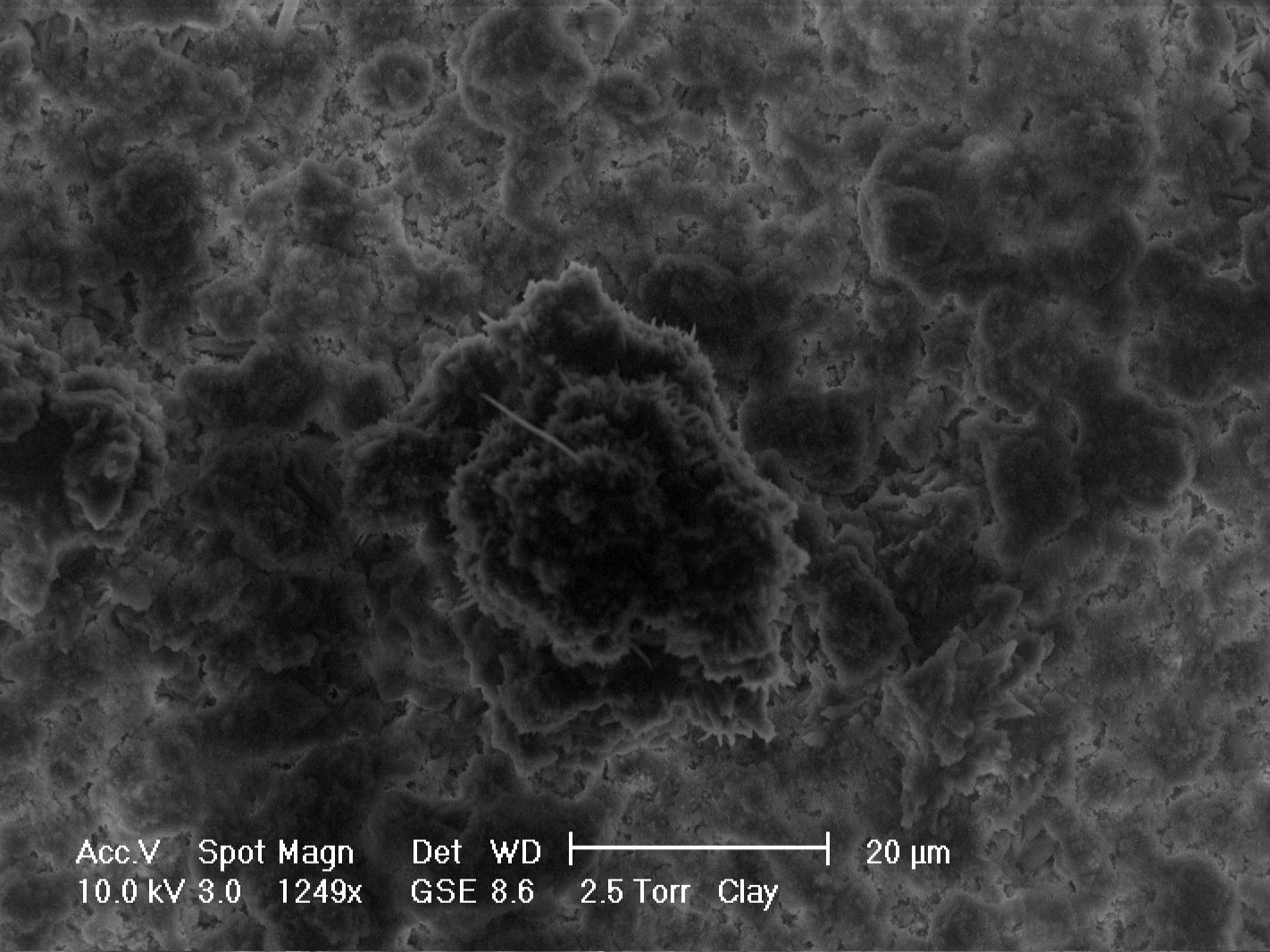 Scanning electron microscopy image of aggregates of kaolinite clay formed in salt solution