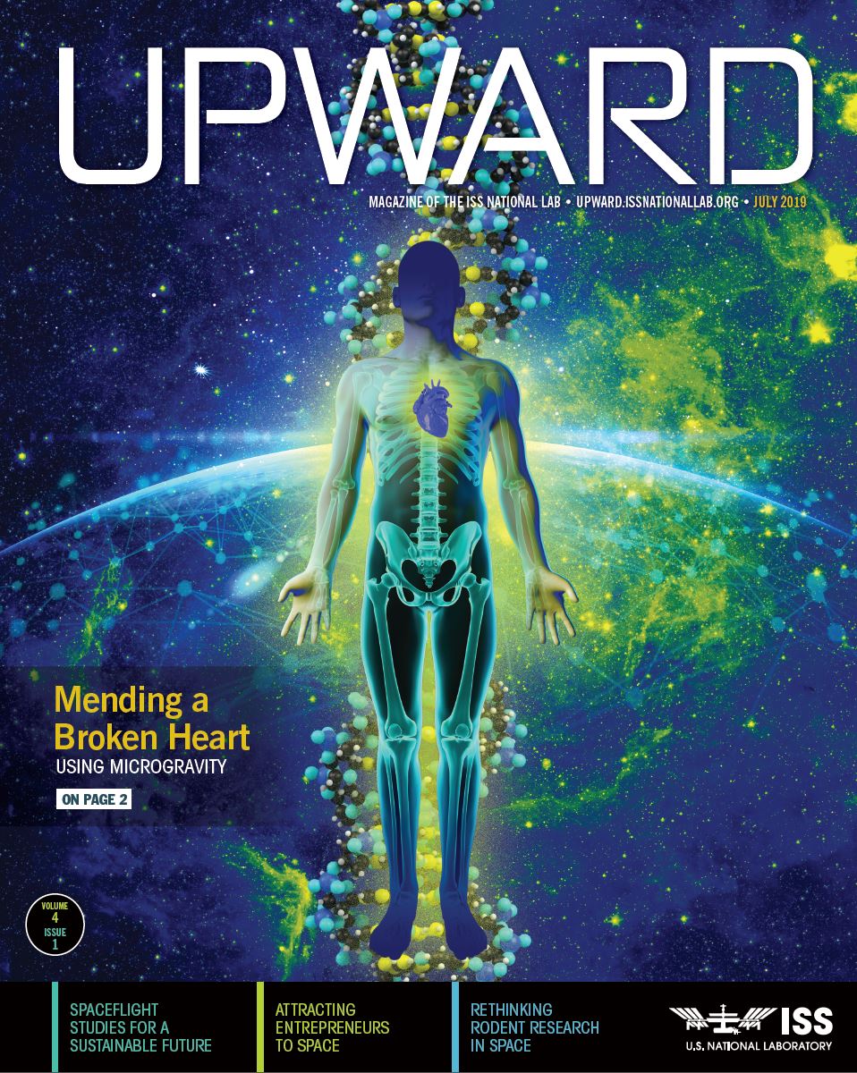 Upward Volume 4, Issue 1