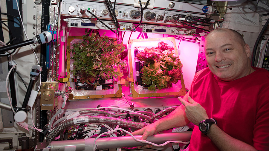 NASA astronaut Scott Tingle tends to plants grown inside the Veggie facility in support of space botany research. Sierra Nevada Corporation pushes the boundaries for sustainable long term missions by advancing plant growth in space with its development of Veggie for NASA.