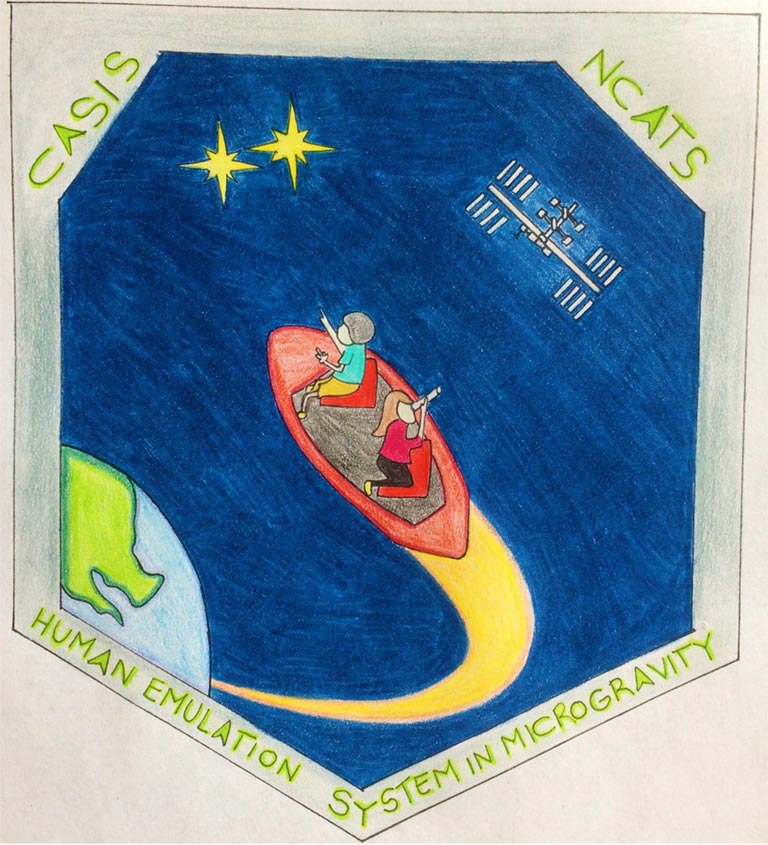 VeronicaBetancu HumanEmulationSysteminMicrogravity2