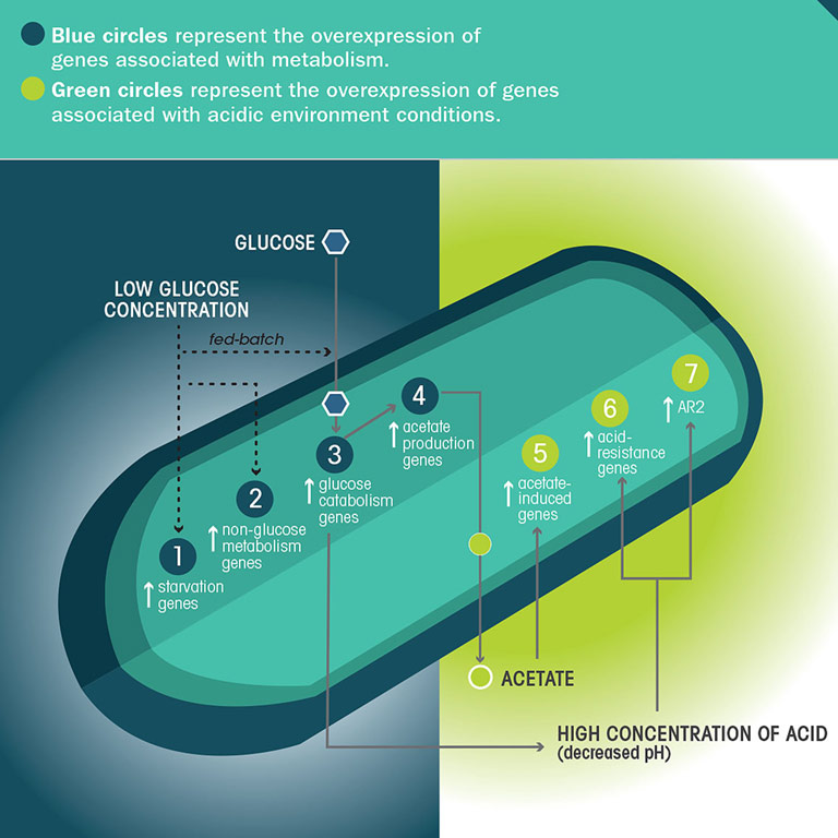 aeem bioserve microbe upward