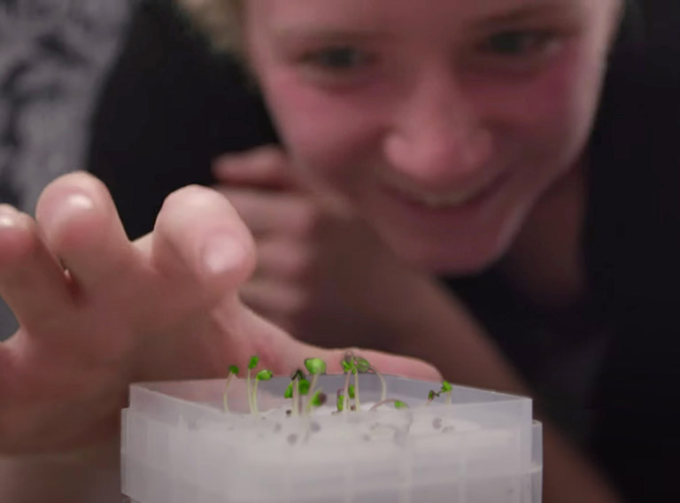 aeroponic marvel video screengrab