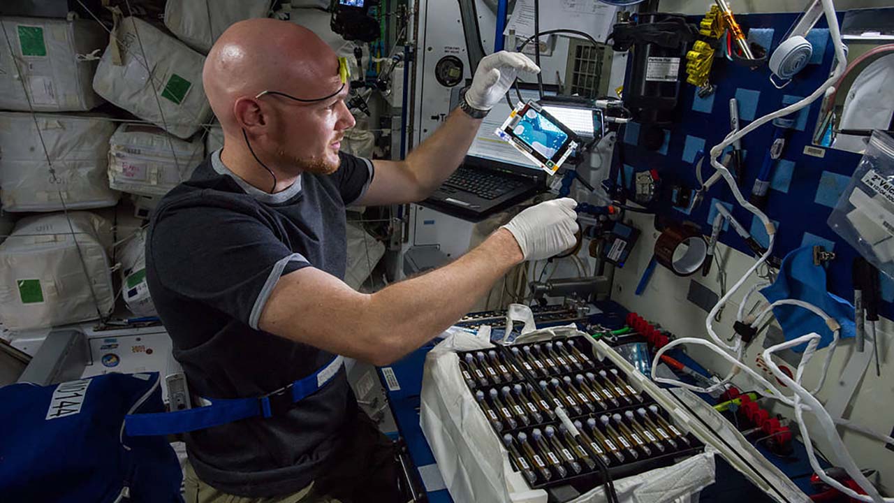 European Space Agency astronaut Alexander Gerst works with experiment samples.