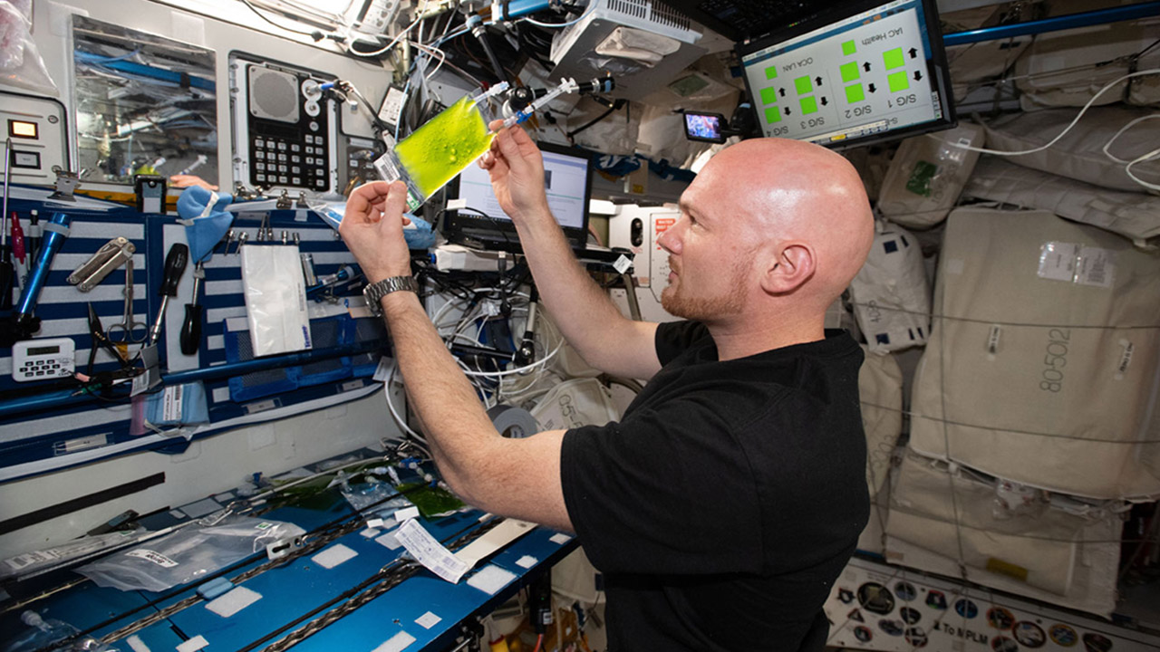 European Space Agency astronaut Alex Gerst preparing to transfer algae from a fully grown culture to new media.
