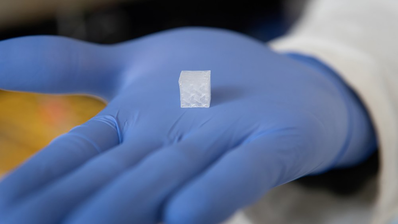 Bioengineered liver and kidney constructs flying to space will help researchers understand microgravitys effects on vascular used tissues.