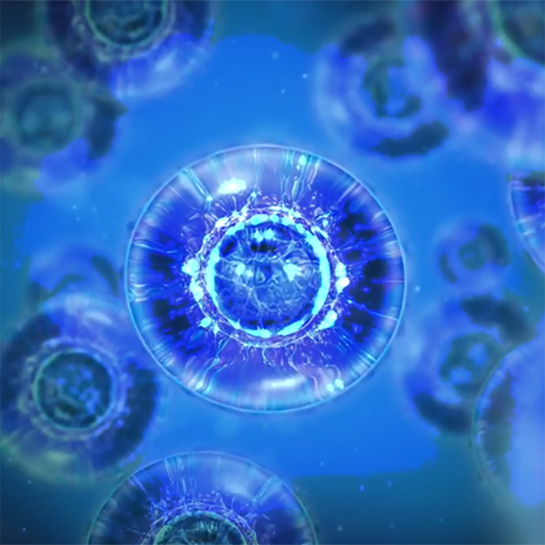 490 BioTechs investigation uses autobiluminescent human cells to test their response to drug samples in microgravity.