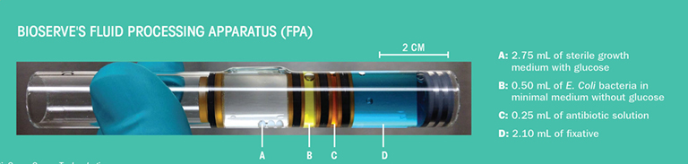 bioserve syringe upward