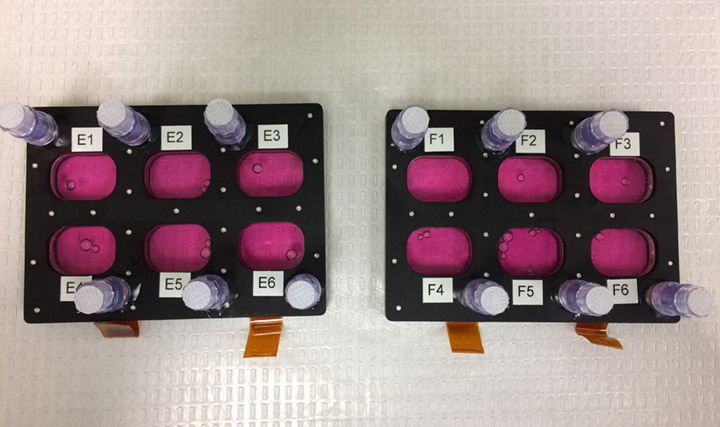 The Oncolinx investigation used BioServes 6 well BioCell hardware. Different films allow for distinct types of growth and gas permeability, while enabling microscopy and other types of data acquisition.