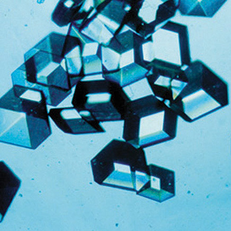 blue crystal eli lily