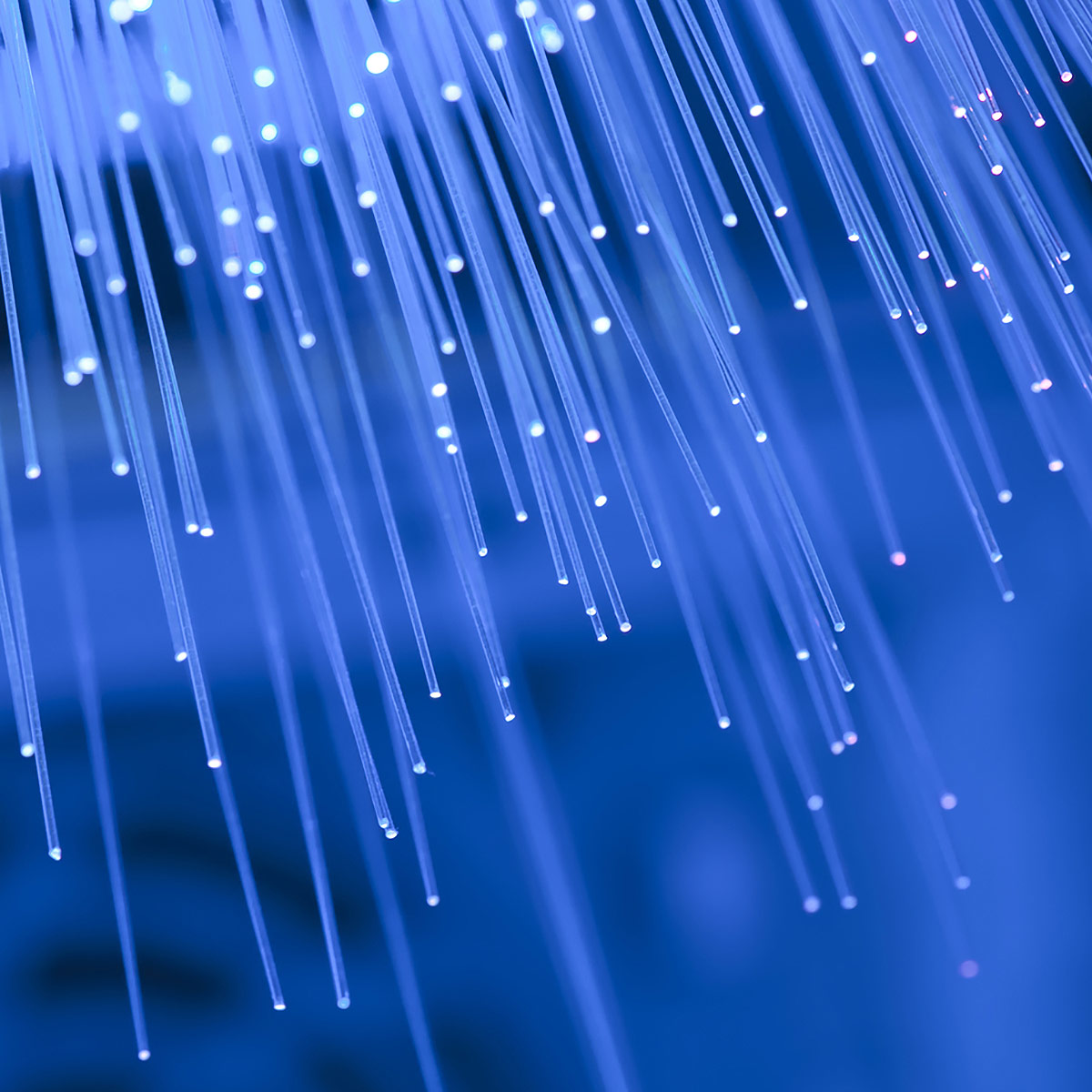 blue optical fibers