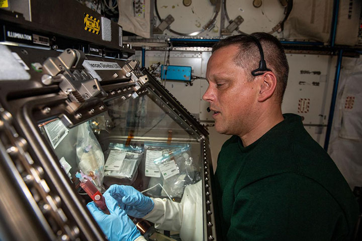 NASA astronaut Bob Hines prepares samples for the immunosenescence investigation.