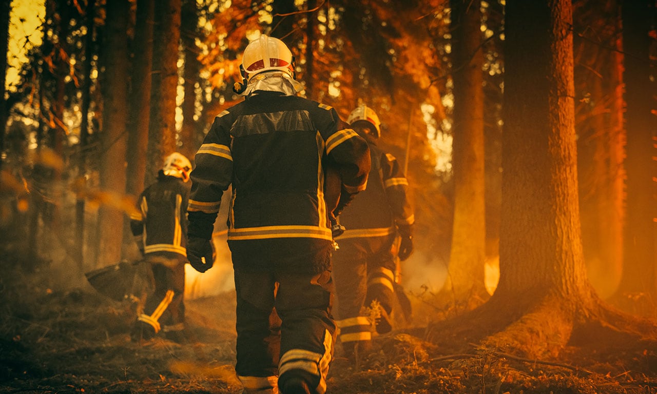 Forest Fire Fighters