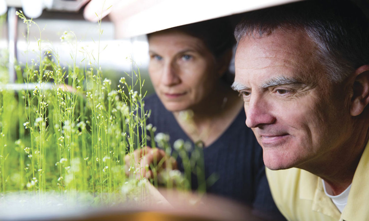 University of Florida researchers Anna-Lisa Paul and Robert Ferl