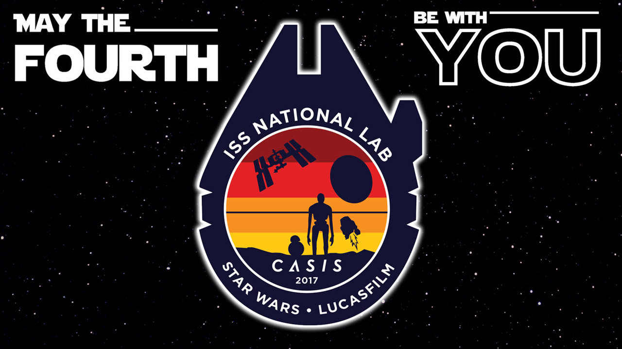casis star wars patch maythefourth top